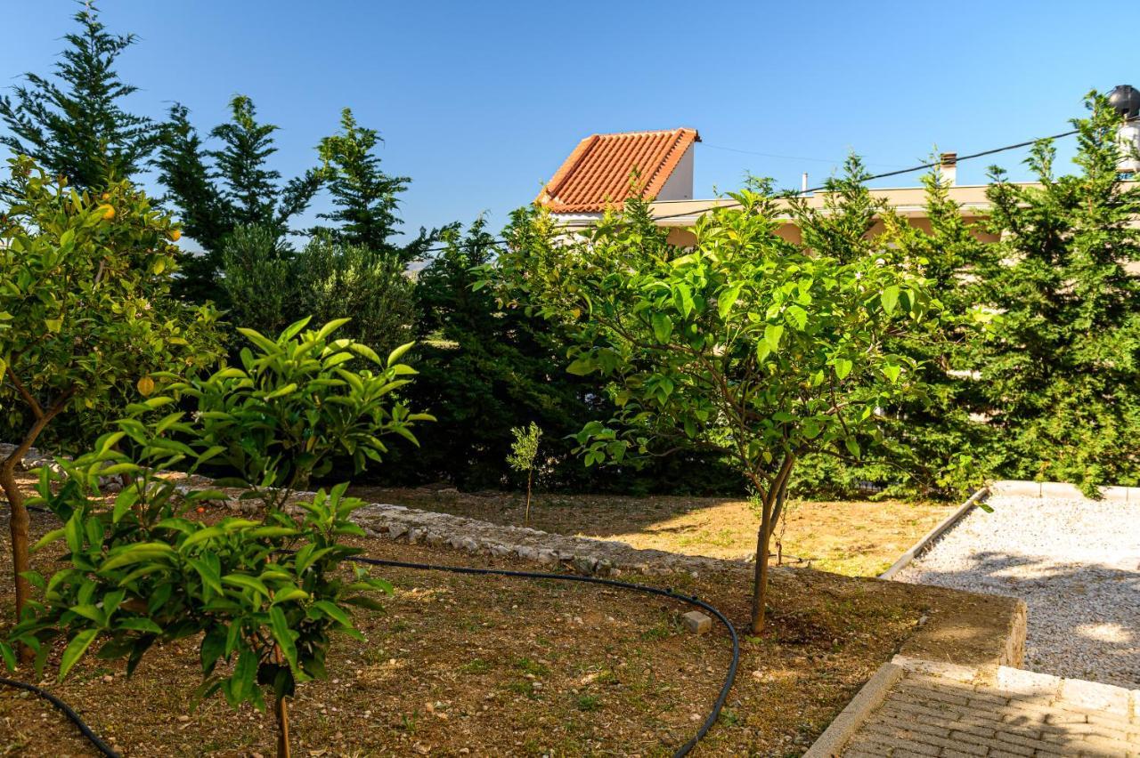 Minimal Studio In Nature, Exostis Nafplio Exterior foto