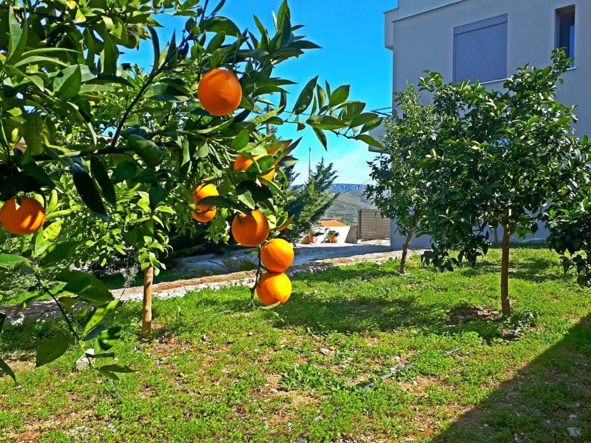 Minimal Studio In Nature, Exostis Nafplio Exterior foto