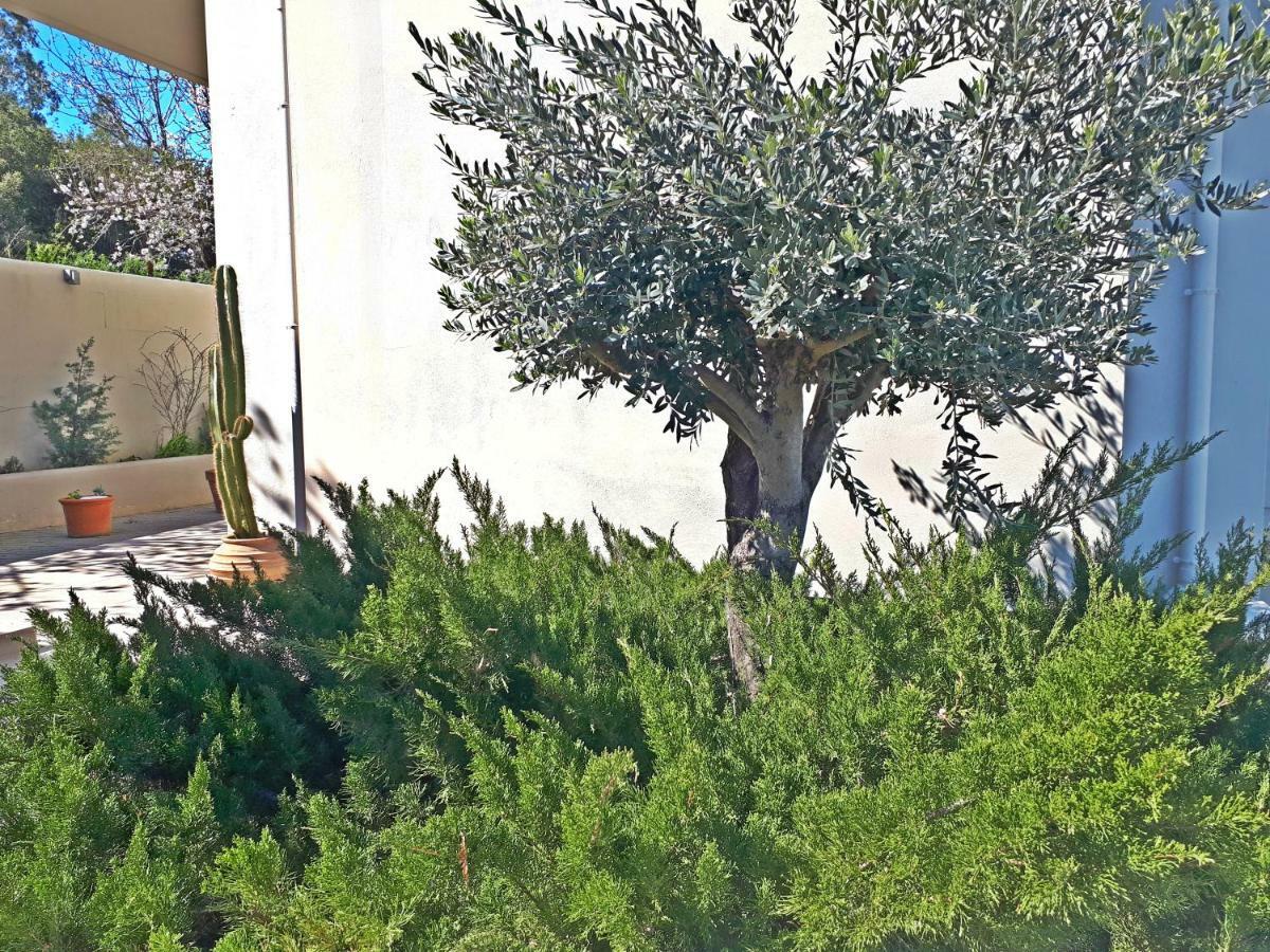 Minimal Studio In Nature, Exostis Nafplio Exterior foto